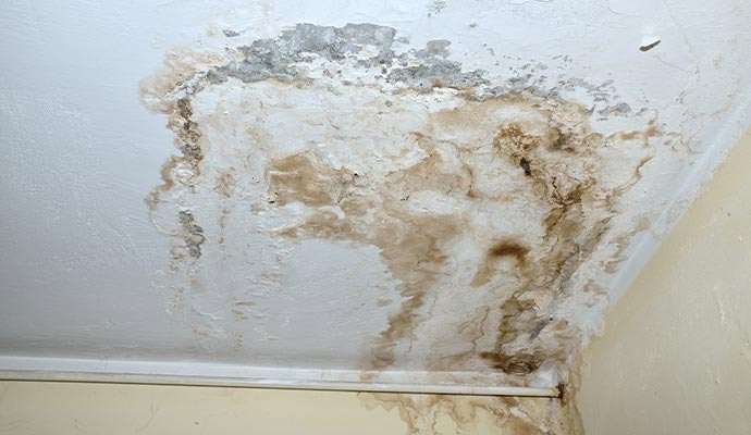 Ceiling water damage from roof leak requiring repair