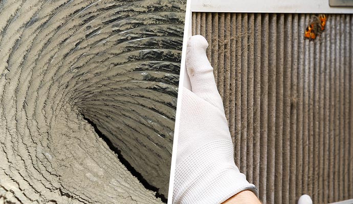 Collage of mold growth and clogged filters