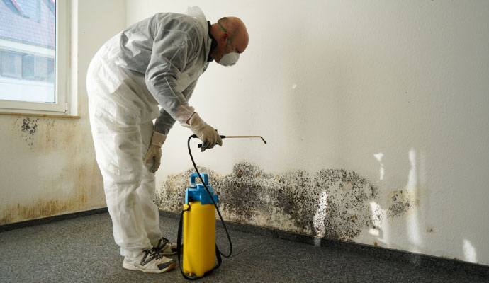 Professional Mold Decontamination in Norwalk and New Haven