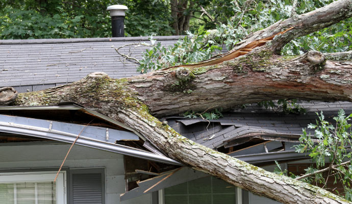 Storm damaged property