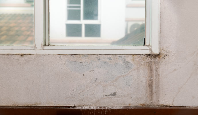 Water damaged wall