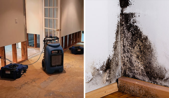 Water restoration service