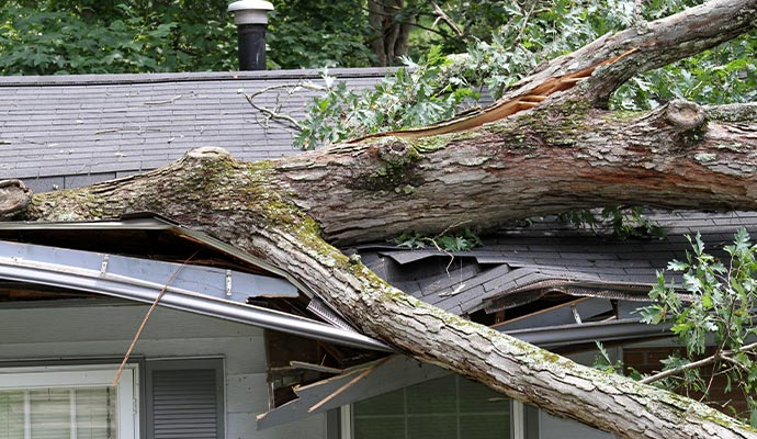 Storm damaged roof