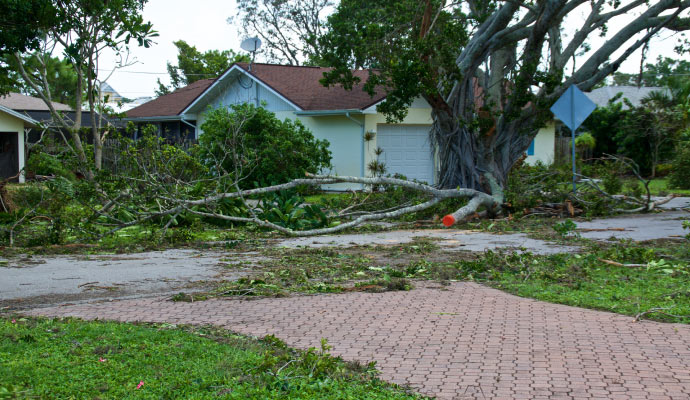 Hurricane damaged area