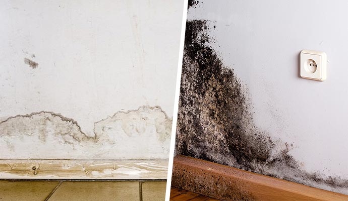 Collage of wet stains and mold growth on wall